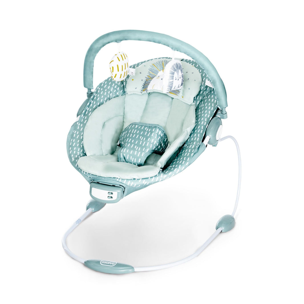 Green Pinchi Musical Hammock