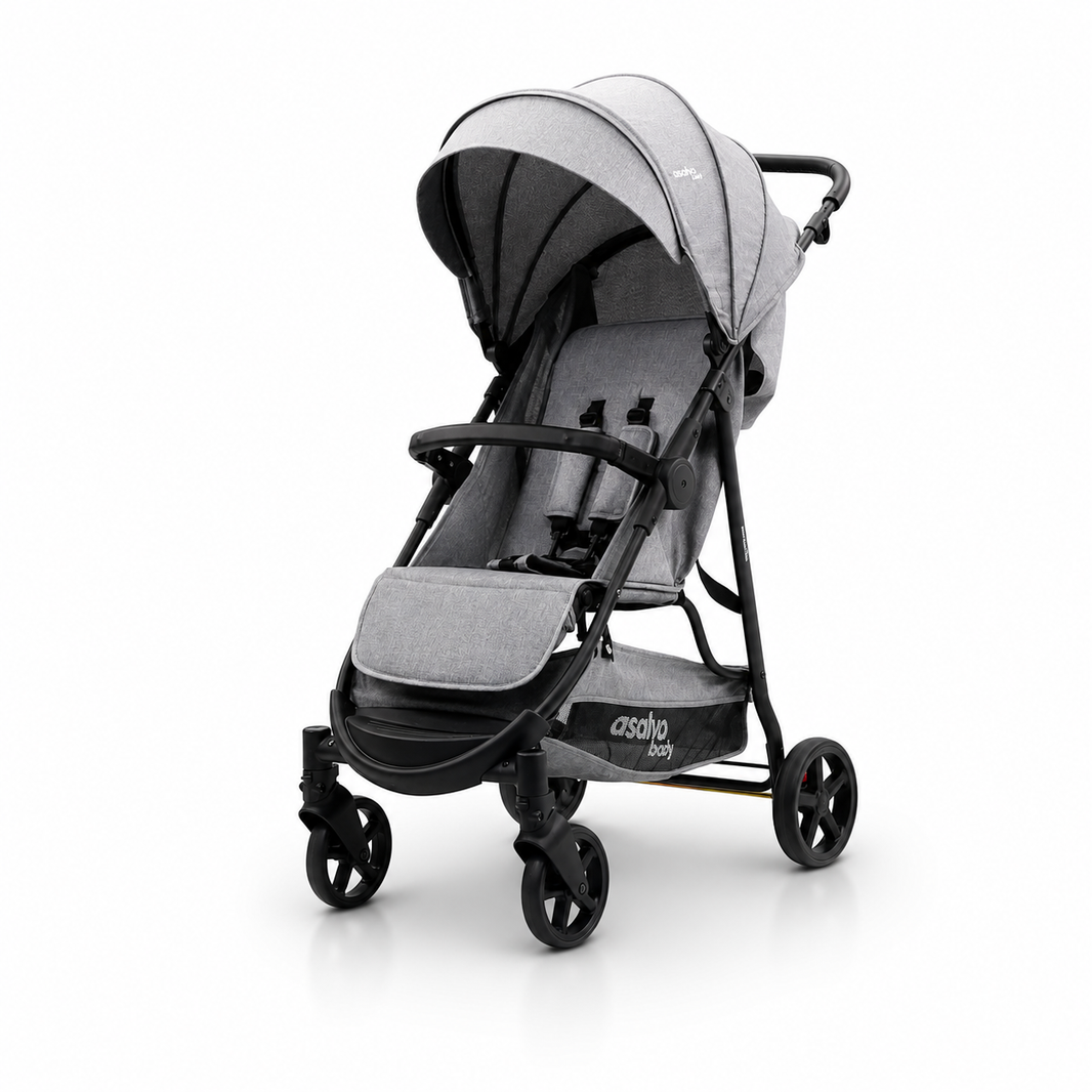 Silla de paseo Manchester gris