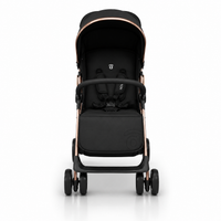 Carrinho de passeio nova dourada