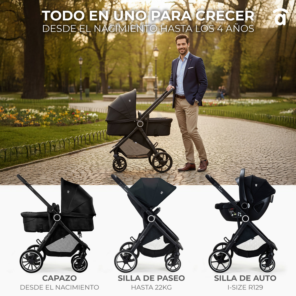 Black Happy Convertible Trio