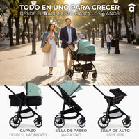 Dubai Convertible Trio 2 Olive