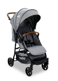 Manchester gray stroller