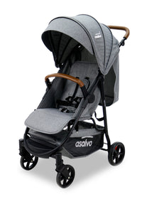 Manchester gray stroller