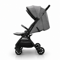Henry Gray Double Stroller