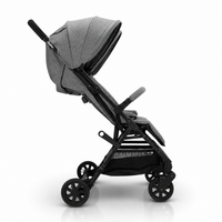 Henry Gray Double Stroller