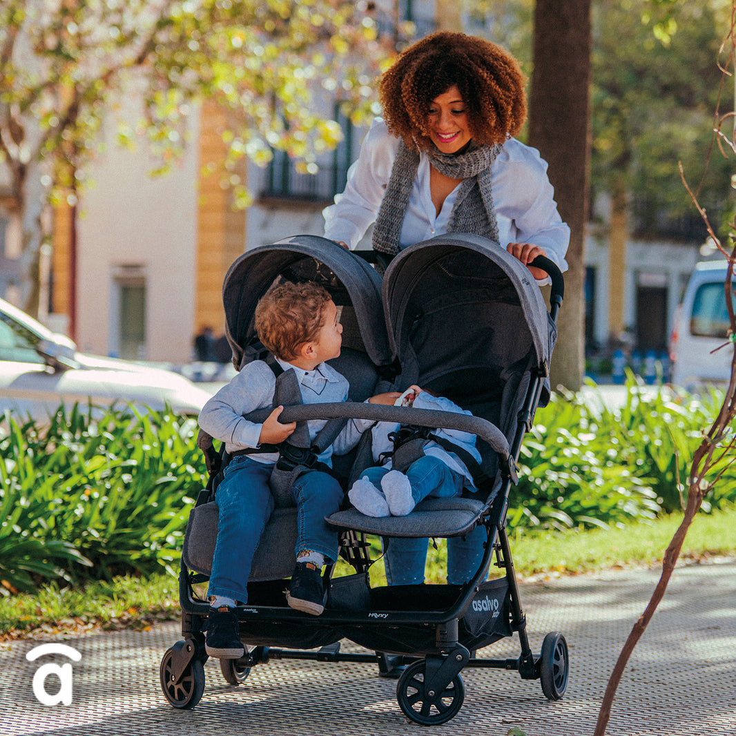 Silla de paseo Doble Henry Gris