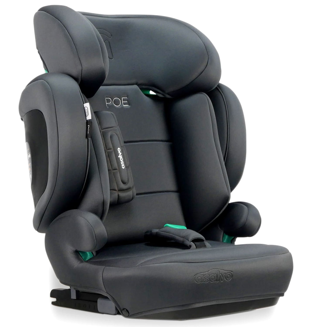 I-Size Poe Fix Gray Car Seat