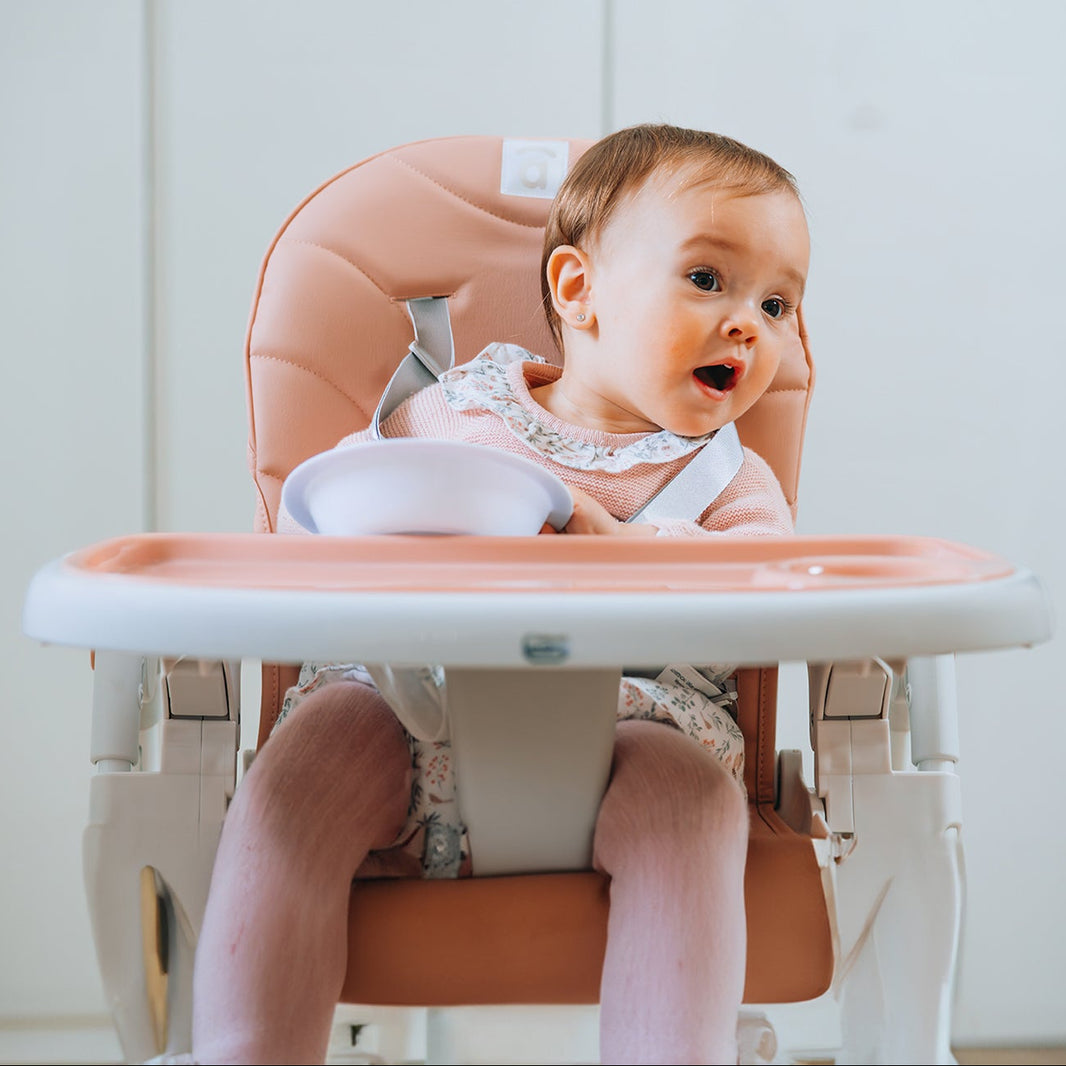 Arzak Pink High Chair