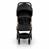 Travel System Amsterdam Dorada