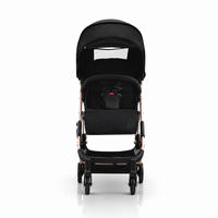 Travel System Amsterdam Dorada