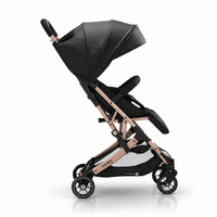 Travel System Amsterdam Dorada