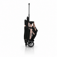 Travel System Amsterdam Dorada
