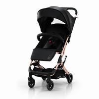 Travel System Amsterdam Dorada