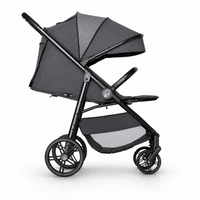 Silla de paseo Fiyi gris