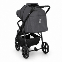 Silla de paseo Fiyi gris