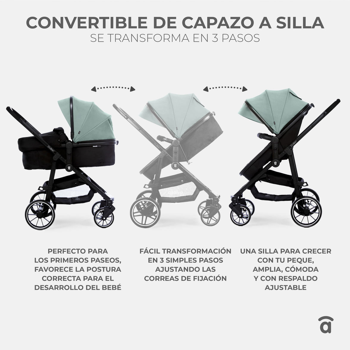 Dubai Convertible Trio 2 Olive