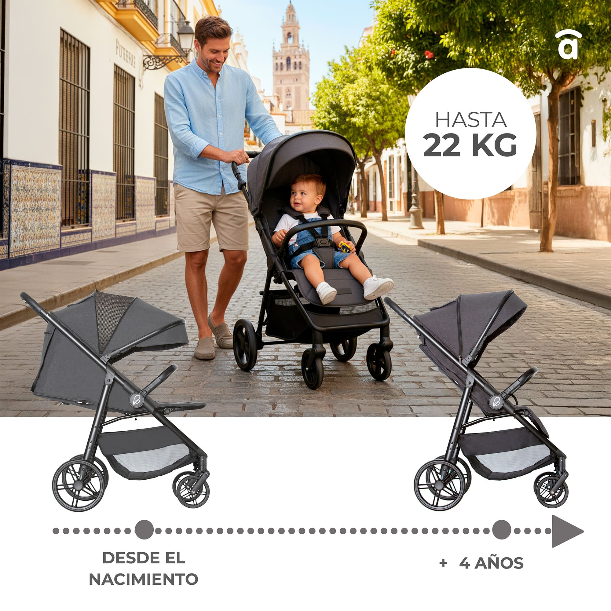 Gray Fiji stroller