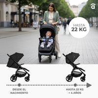 Silla de paseo Iconic Rosa