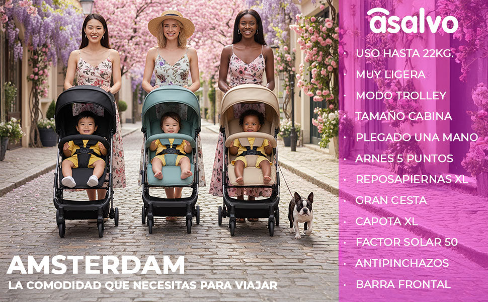 Banner 2 de Amsterdam Golden Stroller