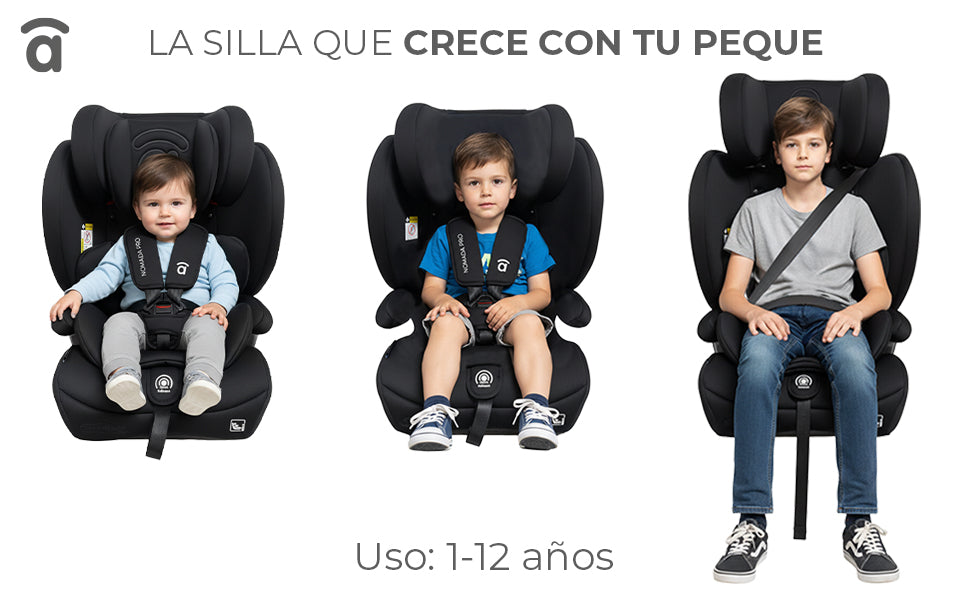 Banner 1 de Nomad Pro Gray Car Seat