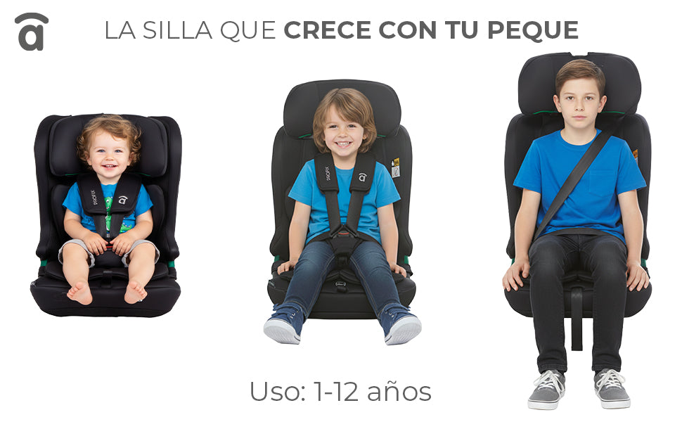 Banner 1 de I-Size Profix Gray Car Seat