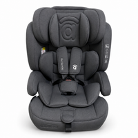 Siège d'auto RouteFix gris