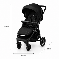 Iconic Black Stroller