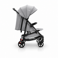 Silla de paseo Manchester gris