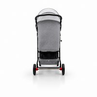 Silla de paseo Manchester gris