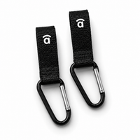 Carabiners (Set of 2 units)