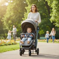 Ness 2 gray stroller