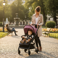 Milan Purple Stroller