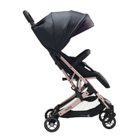 Amsterdam Golden Stroller