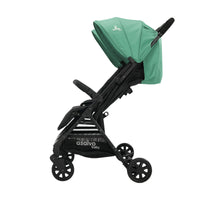 Henry Green Double Stroller