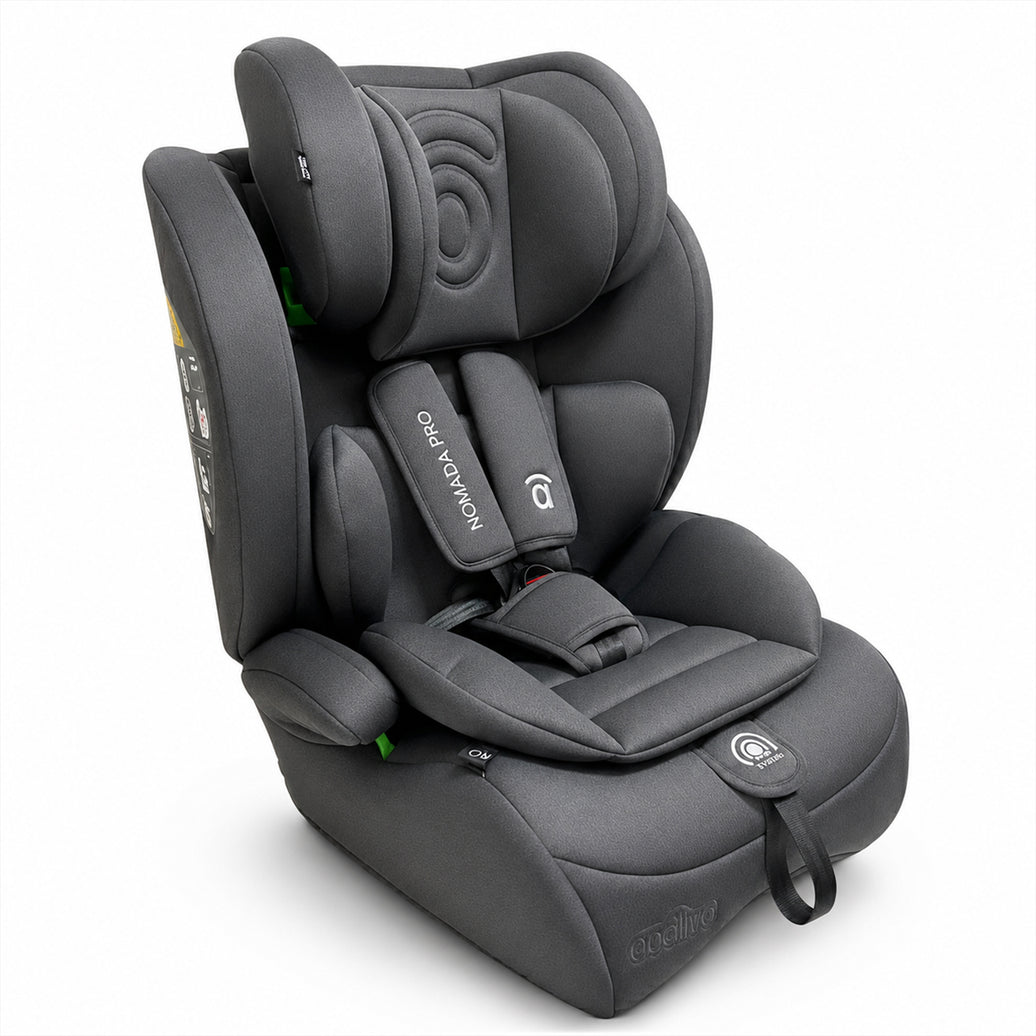Nomad Pro Gray Car Seat