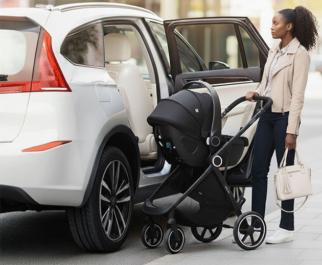 The perfect companion for traveling by car