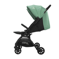 Henry Green Double Stroller